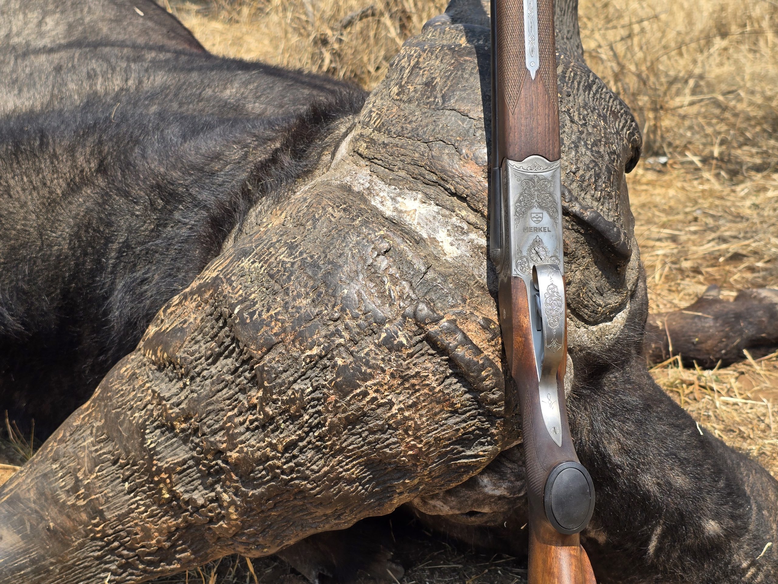 Buffalo & Sable Package